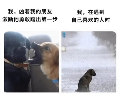 这是一张双面板对比梗图，展示了人们在鼓励朋友和面对自己喜欢的人时的反差表现。左图中一只棕色的狗对着黑色的狗张大嘴巴，配文'我，凶着我的朋友 激励他勇敢踏出第一步'；右图中一只狗独自坐在地上显得落寞，配文'我，在遇到自己喜欢的人时'。通过狗狗的表情和动作对比，幽默地表现了人们常常能勇敢鼓励他人，却在自己面对感情时变得胆怯的现象。