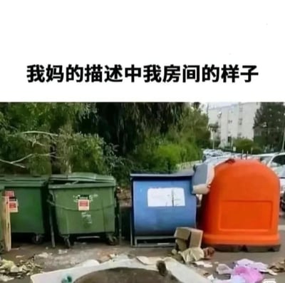 这张梗图分为上下两部分，上方是一句文字“我妈的描述中我房间的样子”，下方则配有一张露天垃圾桶区域的照片，有多个垃圾桶、废弃的纸箱和一些垃圾散落在地。图通过强烈的视觉对比夸张表达了妈妈口中对孩子房间的“不堪”描述，实际生活中的夸张和幽默被放大，使其成为网友调侃父母“嫌弃”自己房间乱的经典代表。

图像有明显夸张、类比、反差萌的双关效果，将“房间乱”形象地等同于“垃圾场”，有很强的自嘲和搞笑气质。