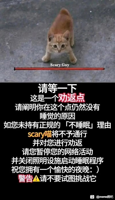 这是一张针对熬夜人群创作的搞笑meme图，整体分为上下两部分：上半部分是一只炸毛的橘色小猫，四肢分开摆出防御姿势，下方配有红色长条和英文“Scary Guy”，将看似弱小的小猫塑造成“凶狠角色”；下半部分是黑色背景的中文劝返文字，以“劝返点”的官方口吻，要求熬夜的人阐明此刻仍未睡觉的原因，若没有正规的「不睡眠」理由，就会被这只“Scary喵”劝返，需要暂停网络活动、关闭照明去睡觉，最后还加上警告不要挑战它，用可爱又严肃的反差感调侃熬夜行为，风格幽默治愈，旨在提醒人们早睡。