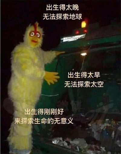 这是一张带有自嘲情绪的网络meme图，画面主体是一个穿着黄色小鸡卡通人偶服装的角色，站在一辆堆满垃圾、环境杂乱的车辆旁，人偶表情呆滞，一只手搭在车身上，姿态传递出无力与迷茫。图片通过三段递进式的文字，构建出一种荒诞的处境：“出生得太晚 无法探索地球”“出生得太早 无法探索太空”，最后落脚到“出生得刚刚好 来探索生命的无意义”，用戏谑的方式表达当代年轻人在面对生活时的虚无感与存在主义式的迷茫，以黑色幽默的口吻宣泄对自身处境的无奈，引发同类情绪人群的共鸣。