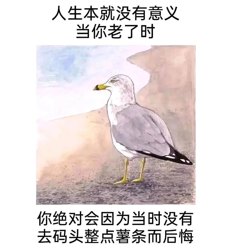 网络热梗衍生