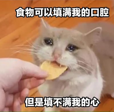 这是一张带有幽默、治愈风格的猫咪配文梗图，配有文字“食物可以填满我的口腔，但是填不满我的心”，表达即使被喂食也无法从物质上满足内心的孤独或空虚。常用于网友调侃日常空虚、精神层面难以满足的状态，具有自嘲与反差幽默的效果。