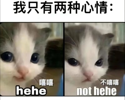这是一张左右对比的猫咪表情包，上方文字为“我只有两种心情：”。左侧猫咪睁着大眼睛，嘴角微扬，带着“嘻嘻”和“hehe”的文字，显得开心活泼；右侧猫咪表情平静，眼神淡然，配文“不嘻嘻”和“not hehe”，呈现出另一种情绪状态。通过同一只猫咪的两种表情对比，幽默地表达了“只有两种心情”的简单日常情绪。