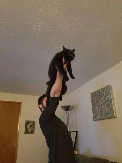 室内场景中，一名男子单臂将一只纯黑猫咪高举过头顶，猫咪身体悬空，四肢自然下垂，双眼圆睁呈绿色，表情略显惊讶。背景可见纹理天花板、木质房门、落地灯及墙上装饰画，整体氛围轻松有趣，展现人与宠物间的温馨互动瞬间。