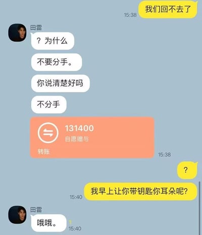 这是一张搞笑聊天记录截图，内容呈现了一出因语句歧义引发的乌龙事件：首先发言方发送消息“我们回不去了”，名为田雷的男性误以为对方要和自己分手，情绪十分慌张，连发多条消息恳求不要分手，还向对方转账131400元并标注“自愿赠与”试图挽留；后续发言方揭晓真相，自己所说的“回不去”是指田雷没按早上的叮嘱带家门钥匙，二人没办法进家门，得知真相的田雷只能尴尬回复“哦哦”，整个内容前后反差强烈，笑点十足。