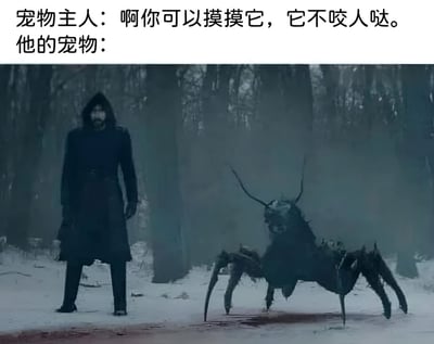 图片上方文字为宠物主人说“啊你可以摸摸它，它不咬人哒。他的宠物：”，下方是《猎魔人》中的场景，左侧是穿着黑色斗篷的杰洛特，右侧是长着鹿角和蜘蛛腿的恐怖生物Leshen（树精），站在有血迹的雪地森林中。通过宠物主人的话与实际恐怖宠物的反差制造搞笑效果。