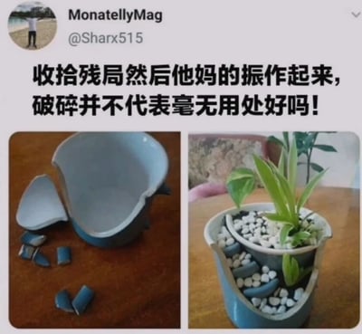 这张图片展示了一个破碎的蓝色陶瓷花盆被巧妙地重新利用的过程。左侧图片显示了破碎的花盆和散落的碎片，象征着失败或挫折；右侧图片则展示了同一个破碎的花盆被改造成一个独特的植物容器，里面种植着一株生机勃勃的绿色植物，象征着重生和希望。图片上方配有励志文字：'收拾残局然后他妈的振作起来，破碎并不代表毫无用处好吗！'，传达了即使面对破碎和挫折，也能找到新的价值和意义的积极信息。