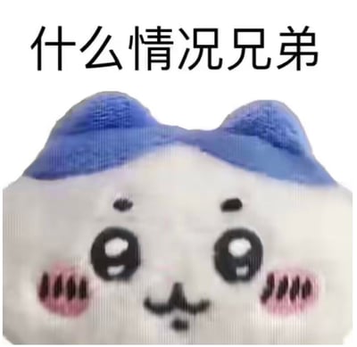 图片上方有黑色文字“什么情况兄弟”，下方是一个毛绒玩具的特写。该玩具主体为白色，耳朵是蓝色的，脸部有简单的黑色线条勾勒出眼睛、眉毛和嘴巴，脸颊上还有粉色的腮红，整体呈现出一种呆萌疑惑的表情。这张图通常作为反应类表情包使用，用于表达对某种情况的困惑或调侃。