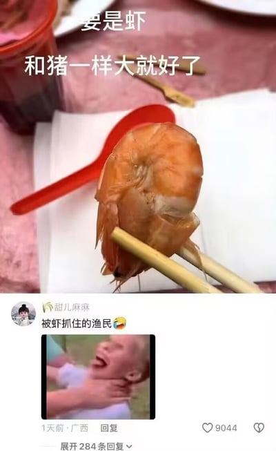 这张图是社交媒体内容截图，分为上下两部分：上半部分是餐桌实拍场景，浅色筷子夹着一只个头很小的橘红色熟虾，背景可见红色塑料勺、白色纸巾和粉色桌布，上方配文“要是虾和猪一样大就好了”，直白吐槽当前的虾个头太小，希望能有更大的虾食用；下半部分是用户“甜儿麻麻”的评论，评论配文“被虾抓住的渔民”，附带一张小孩被手掐住脖子、仰头大哭的表情包，用玩梗的方式制造反差，调侃如果虾真的长到猪那么大，体型力量远超人类，反而会反过来攻击渔民，幽默效果拉满。