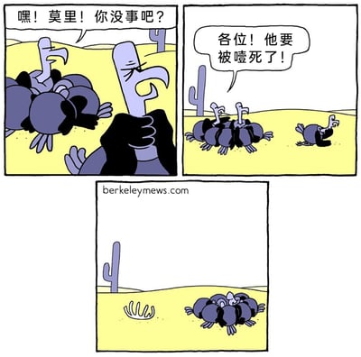 这是一幅三格连环卡通漫画，场景设定在沙漠中。第一格，一只秃鹫发现同伴莫里正用爪子掐着自己的脖子，看起来被噎住了，便关切地询问：“嘿！莫里！你没事吧？”；第二格，另一只秃鹫见状惊慌地跑开，向其他同伴呼喊：“各位！他要被噎死了！”；第三格，当这只呼救的秃鹫返回时，只看到地面上留下了莫里的爪子，而其他秃鹫已经围聚在一起将莫里分食殆尽。漫画以黑色幽默的方式，利用秃鹫同类相食的习性，制造出“呼救”与“分食”的荒诞反差，形成讽刺感十足的喜剧效果。