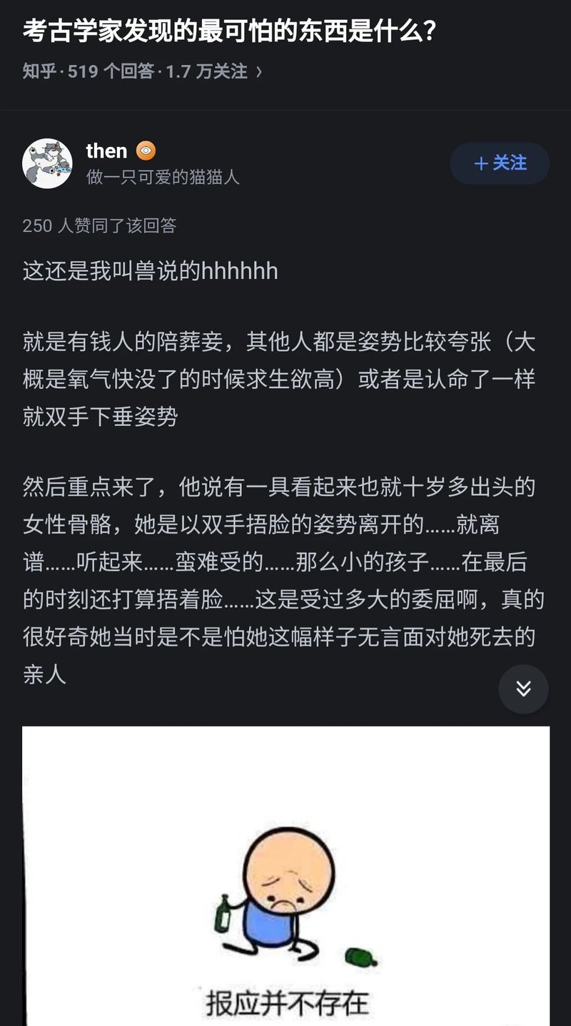 做一只可爱的猫猫人