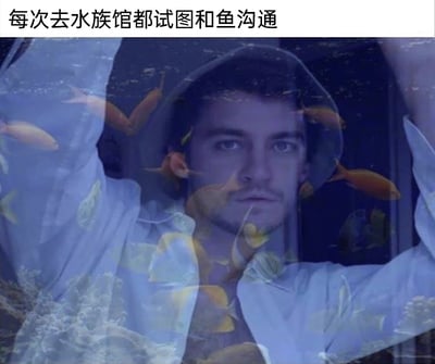 暂无描述