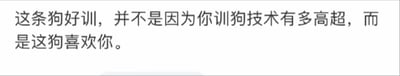这是一张纯文字类图片，图中文字内容为“这条狗好训，并不是因为你训狗技术有多高超，而是这狗喜欢你。”，以直白又温柔的语句，点明狗狗愿意听从指令的核心原因是出于对主人的喜爱，传递出暖心治愈的情感，没有双关、谐音梗或暗示内容。