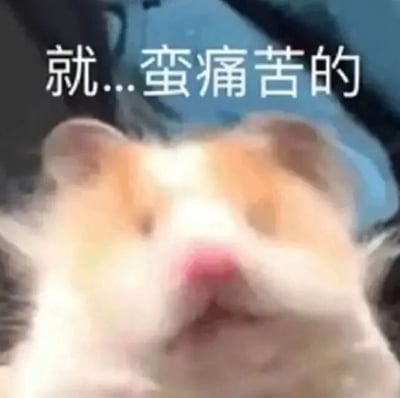 图片主体是一只橙白相间的仓鼠，因拍摄时的动态模糊导致面部表情略显扭曲，呈现出类似人类难受时的神态。图片上方用白色字体叠加文字“就...蛮痛苦的”，文字内容与仓鼠的表情形成呼应，通过拟人化手法将动物表情与人类情绪关联，营造出一种幽默又略带共鸣的效果，常用于网络交流中表达轻微的无奈或不适感。
