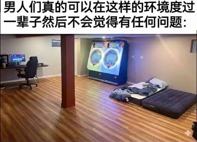 这张梗图展示了一个极简风格的男性生活空间，房间内有电脑工作区、街机游戏机和简单的睡眠区域，以此幽默地调侃男性可以在这样简单的环境中满足生活需求。图片上方配有文字“男人们真的可以在这样的环境度过一辈子然后不会觉得有任何问题:”，表达了对男性生活要求简单的调侃。
