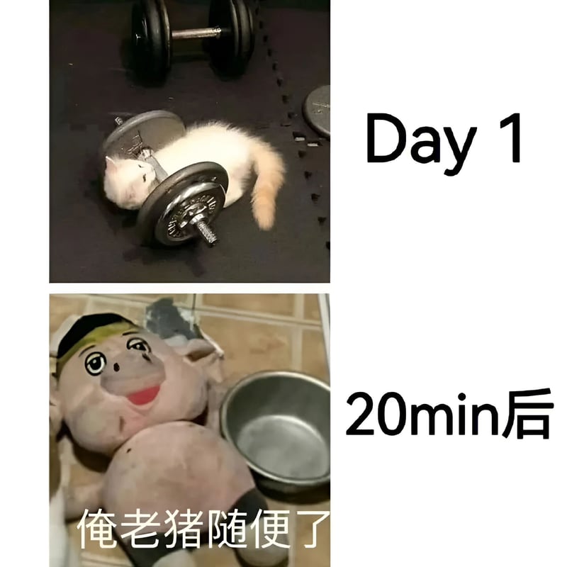 玩偶
