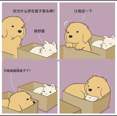 这是一组四格连环漫画，背景为统一的淡紫色。第一格中，黄色狗狗歪着头疑惑地看着蜷缩在纸箱里的白色猫咪，问道“你为什么挤在盒子里头啊？”，猫咪则淡定地回复“很舒服”。第二格，狗狗表示“让我试一下”，并将前爪搭在猫咪所在的纸箱边缘，试图进入。第三格，狗狗躺在旁边另一个空纸箱里，露出困惑的表情，心想“可能我躺错盒子了？”。第四格，狗狗成功将自己和猫咪一起塞进一个纸箱，身体完全占据盒子，露出满足的红晕，而猫咪则被挤在下方，表情依然平静。漫画通过动物对纸箱的喜爱展现了轻松搞笑的互动场景。