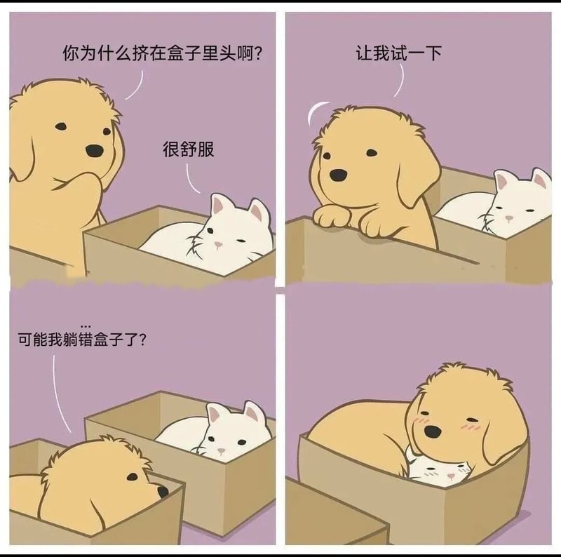 黄色狗狗