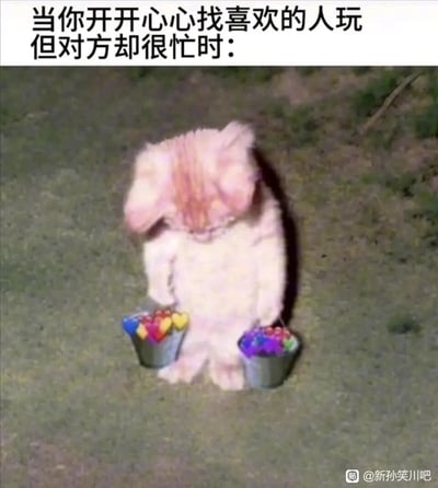 这是一张经过P图改编的搞笑表情包，图中是一只被拟人化的猫咪，它耷拉着耳朵、低着头，神情失落沮丧，双手各提着一个装满彩色爱心的小桶，似乎原本满怀期待地带着心意来找喜欢的人玩耍。图片上方配文“当你开开心心找喜欢的人玩但对方却很忙时：”，精准地还原了人们兴冲冲奔赴却遭遇期待落空的失落心情，用可爱又委屈的动物形象放大了这种情绪，容易引发共鸣。
