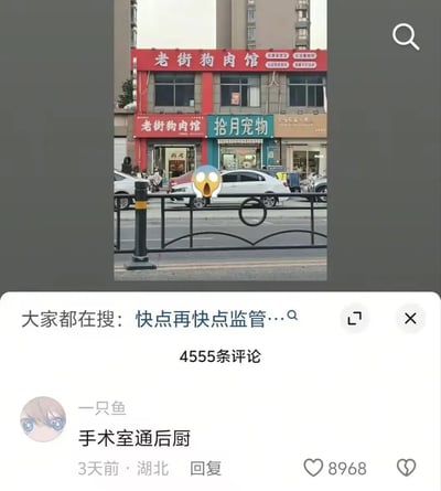 图片展示了一张社交媒体截图，上方为街景照片，可见红色招牌的“老街狗肉馆”与隔壁的“拾月宠物”店铺并排而立，形成讽刺性对比。照片中间叠加了一个惊讶表情的emoji。下方是社交平台的评论区界面，显示“大家都在搜：快点再快点监管…”的搜索热词，以及用户“一只鱼”的高赞评论“手术室通后厨”（获8968赞），结合原始标题“医生：手术失败，但作为补偿，给你一张隔壁狗肉馆的优惠券😋”，构成一个黑色幽默梗，暗示手术失败与狗肉馆存在不当关联，讽刺监管缺失的荒诞场景。