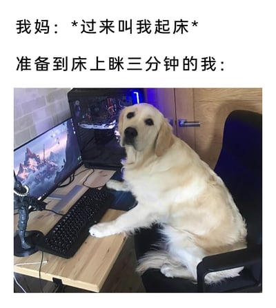 这是一张充满生活趣味的图文梗图，上方文字呈现了一个日常场景：妈妈要求“我”去叫她起床，而“我”原本打算先在床上眯三分钟再去完成这个任务。下方的配图是一只金毛犬坐在电脑椅上，两只前爪搭在键盘和桌面上，面前的显示器显示着游戏画面，仿佛正专注于玩电脑。这张图用拟人化的方式，将“我”的状态具象化为沉迷电脑的金毛，生动调侃了年轻人在生活中容易被电子设备吸引，从而忘记原本计划要做的事情的拖延、分心状态，贴近日常，充满搞笑感。