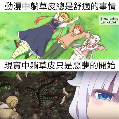 这是一张上下对比图，通过动漫与现实的反差制造幽默效果。上图展示三个动漫角色舒适地躺在绿色草地上，表情放松愉悦，配文'动漫中躺草皮总是舒适的事情'；下图则展示现实中草地上的昆虫（蜈蚣、蜗牛等）和一个惊恐流泪的动漫风格女孩面部特写，配文'现实中躺草皮只是恶梦的开始'。