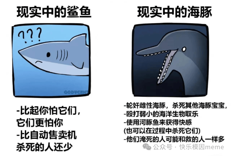 鲨鱼
