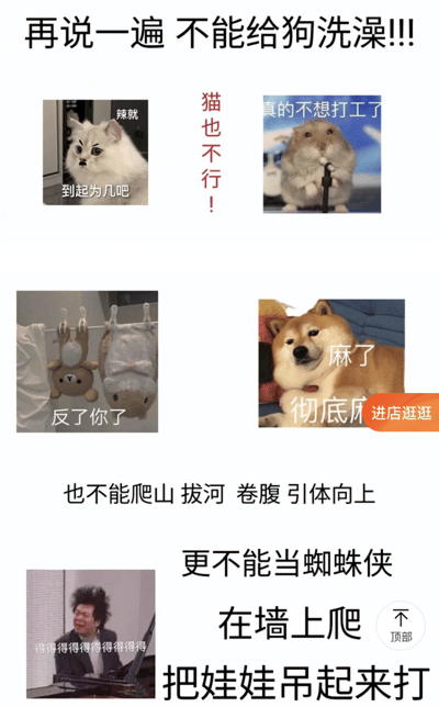这是一张多图拼接的搞笑梗图，顶部大字标题为“再说一遍 不能给狗洗澡!!!”。图中包含四张动物表情包：左上角是一只表情愤怒的白猫，配文“辣就到起为几吧”；右上角是一只手持麦克风的仓鼠，配文“真的不想打工了”；左下角是挂着的毛绒玩具，配文“反了你了”；右下角是一只躺卧的柴犬，配文“麻了 彻底麻”。标题下方还有红色文字“猫也不行！”，底部文字补充“也不能爬山 拔河 卷腹 引体向上 更不能当蜘蛛侠在墙上爬 把娃娃吊起来打”，整体通过夸张的禁止事项和动物表情包营造幽默戏谑的氛围。