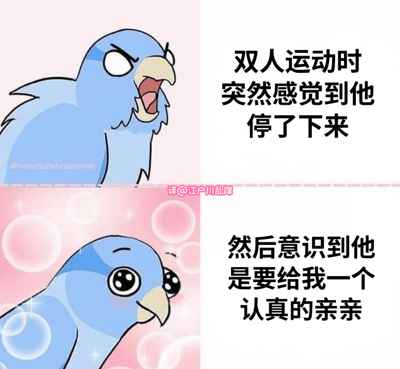 这是一张双格漫画风格的梗图，展示了一只蓝色小鸟的情绪转变。上半部分小鸟表情愤怒，配文"双人运动时突然感觉到他停了下来"，营造出一种紧张或失望的氛围；下半部分小鸟表情变得羞涩，脸颊泛红，配文"然后意识到他是要给我一个认真的亲亲"，形成从误会到甜蜜的情感转折。图片通过可爱的卡通形象和文字结合，以幽默方式描绘了情侣间的浪漫互动。
