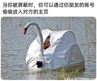 这是一张调侃社交平台日常的搞笑梗图，图片上方配有文字“当你被屏蔽时，你可以通过你朋友的账号偷偷进入对方的主页”。图中主体是一位成年人，套着制作粗糙的白色天鹅伪装道具，仅露出带着心虚、小心翼翼神情的脸，身处水中。这个画面生动具象地比喻了在社交平台被对方屏蔽后，借朋友账号偷偷查看对方主页时那种偷偷摸摸、生怕被发现的滑稽状态，将这种有点幼稚又真实的生活化行为表现得诙谐有趣。
