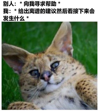 图片上方配有幽默文字：“别人：*向我寻求帮助* 我：*给出离谱的建议然后看接下来会发生什么*”，下方是一张薮猫躺在绿色草地上的照片。薮猫有着大大的耳朵和布满斑点的毛发，眼神平静中带着一丝好奇，仿佛在呼应文字中那种调皮又看热闹的心态。整体通过文字与动物表情的结合，幽默地展现了一种在他人求助时故意给出离谱建议、想看后续发展的轻松调侃场景。