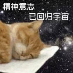 这是一张P图改编的趣味表情包，主体是一只双眼紧闭、趴在平面上熟睡的橘猫，原本的背景被替换成了布满繁星的宇宙星空，图片上方配有文字“精神意志已回归宇宙”。该图用拟人的手法，借猫咪熟睡的慵懒状态，生动表达出人们在疲惫、犯困时，精神仿佛“脱离身体回归宇宙”、不想工作学习的自嘲情绪，精准贴合当代人在疲惫时刻的摸鱼心态，常被用于社交平台或聊天中，传递自己精神涣散、想要休息的心情。