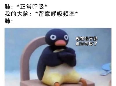 图片上方文字描述了一段有趣的“对话”：肺原本在“*正常呼吸*”，当大脑开始“*留意呼吸频率*”后，肺变得无法自主呼吸。下方是一个卡通企鹅形象，它坐在椅子上，双手抱胸，表情看起来有些担忧，旁边配有文字“现在我不能自主呼吸了”。这张图幽默地展现了人们一旦刻意关注自己的呼吸时，反而会觉得呼吸变得不自然的常见生活体验。