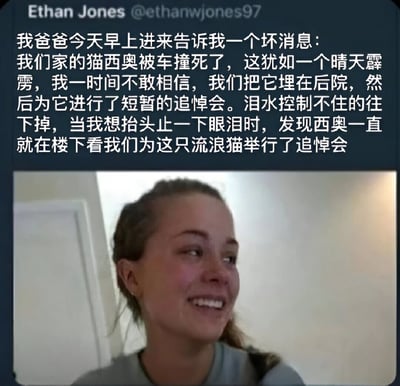 图片上半部分是Twitter用户Ethan Jones的推文，内容讲述了一个乌龙故事：爸爸告知家里的猫西奥被车撞死，一家人在后院埋葬并举办追悼会，悲痛中抬头却发现西奥正在楼下看着他们为这只流浪猫举行仪式。下半部分是一张女孩的照片，她面带微笑，侧头看向一侧，表情轻松，与上半部分的悲伤叙事形成幽默反差。