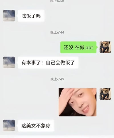 这是一张竖版的微信聊天记录截图，记录了一段充满误解笑点的对话：左侧用户先询问对方有没有吃饭，右侧用户回复自己还没吃饭，正在做PPT；左侧用户因为谐音或者听力误解，把“做PPT”听成了制作食物皮冻，误以为对方在自己做饭，于是夸赞对方有本事会自己做饭了，右侧用户对此十分无语，发送了一张陈泽扶额无语的表情包表达自己的无奈，没想到左侧用户又误以为表情包里的人是对方，还说“这美女不像你”，一连串的认知偏差造就了极强的搞笑效果。