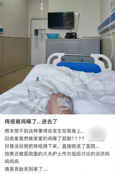 该图为图文混排形式，上半部分是第一视角拍摄的医院病房画面：拍摄者正躺在病床上输液，手上贴着输液胶布，背景可见病房内的病床、储物柜、挂在墙上的电视、病房门等设施，被子区域有分享群号码的水印；下半部分是配文，讲述当事人的离谱经历：回老家时被家里养的鸡啄到屁股，差点把痔疮拽下来，因此住院治疗，还被医院的医生护士当成饭后讨论的话题，当事人觉得十分丢脸社死。