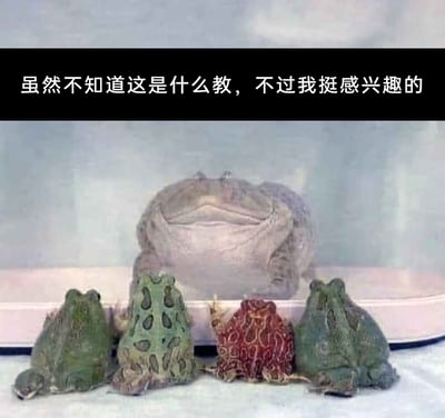 这是一张趣味搞笑梗图，画面中后方有一只仰躺着的大型蛙类，神态放松，仿佛是教派中的‘教主’；前方有四只不同花色的角蛙背对着镜头，朝向后方的大蛙，排列的场景如同在进行‘朝拜’。图上方配文‘虽然不知道这是什么教，不过我挺感兴趣的’，用拟人化的调侃手法，将蛙类的自然排列场景戏仿成宗教教派的仪式，制造出荒诞又诙谐的搞笑效果，属于网络上流行的动物趣味内容。