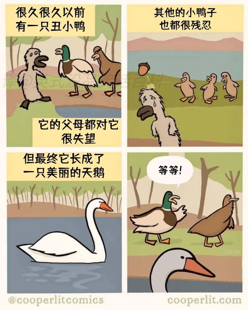 丑小鸭