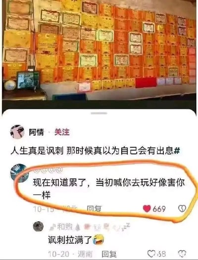 图片上半部分展示一面墙被大量黄色、橙色的证书或奖状密集覆盖，排列拥挤，部分证书可见文字内容；下半部分为社交媒体截图界面，用户“阿情”发布动态：“人生真是讽刺 那时候真以为自己会有出息#”，下方有一条被橙色线圈出的评论：“现在知道累了，当初喊你去玩好像害你一样”，获669个赞，另有评论“讽刺拉满了”配哭笑表情。整体通过过去“证书满墙”的辉煌与现在“疲惫无奈”的对比，凸显人生境遇的讽刺感。