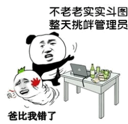 挑衅管理员的熊猫头与认错的小角色