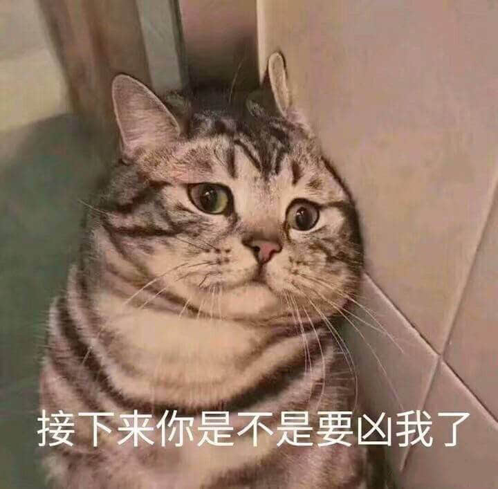 委屈巴巴的小猫咪：接下来你是不是要凶我了