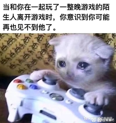 这是一张经过P图改编的梗图，画面主体是一只被修改成眼含泪水、满脸失落委屈的小猫，它的两只爪子放在一个白色的多按键游戏手柄上，握着摇杆，仿佛刚刚结束一场长时间的游戏。图片上方配有文字：“当和你在一起玩了一整晚游戏的陌生人离开游戏时，你意识到你可能再也见不到他了。” 该图精准捕捉了网游玩家的特殊情感：在和临时结识的陌生游戏伙伴通宵组队、并肩作战后，对方突然离开游戏，这种萍水相逢的短暂陪伴戛然而止，随之而来的失落与怅惘被悲伤小猫的形象生动展现，戳中了很多有类似经历的玩家的情感共鸣。