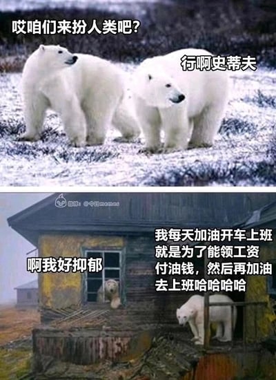 这是一张上下拼接的对比梗图，上半部分展示了两只站在雪地上的北极熊，其中一只提议“哎咱们来扮人类吧？”，另一只回应“行啊史蒂夫”，两只熊看起来对模仿人类生活充满期待；下半部分画风突变，两只北极熊身处破旧的房屋场景中，一只趴在窗户边配文“啊我好抑郁”，另一只站在房屋门口配文“我每天加油开车上班就是为了能领工资付油钱，然后再加油去上班哈哈哈哈哈”，通过北极熊从期待模仿人类到体会到人类打工人的无奈困境的转变，用拟人化的方式讽刺了当代打工人陷入“上班赚工资-工资支付上班成本-继续上班”的无限循环，充满了自嘲和无奈的情绪，精准戳中了打工人的共鸣点。