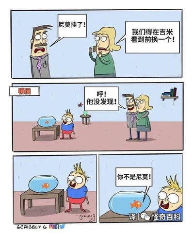这是一则四格连环搞笑漫画：
1. 第一格中，爸爸惊慌地告知妈妈“尼莫挂了！”，妈妈着急地表示“我们得在吉米看到前换一个！”，二人满脸慌乱；
2. 第二格标注“稍后”，父母躲在一旁，松了口气说道“呼！他没发现！”，此时孩子吉米正看着鱼缸里的新金鱼；
3. 第三格，吉米瞪大双眼，一脸惊讶地盯着鱼缸里的金鱼；
4. 第四格，吉米指着鱼缸里的金鱼，大声喊出“你不是尼莫！”，直接戳穿了父母的小把戏。
整个故事充满反转，父母自以为能瞒天过海，却被孩子轻易识破，搞笑又温馨，展现了亲子间的趣味日常。