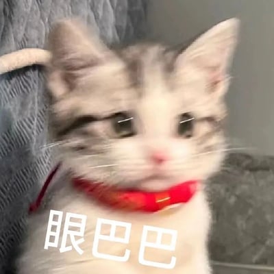 一只戴着红色项圈的灰白色小猫，正睁大眼睛直视镜头，表情显得有些期待和专注。图片下方有文字'眼巴巴'，生动描述了小猫渴望或期待的神情。背景是灰色的布料，可能是沙发或毯子。