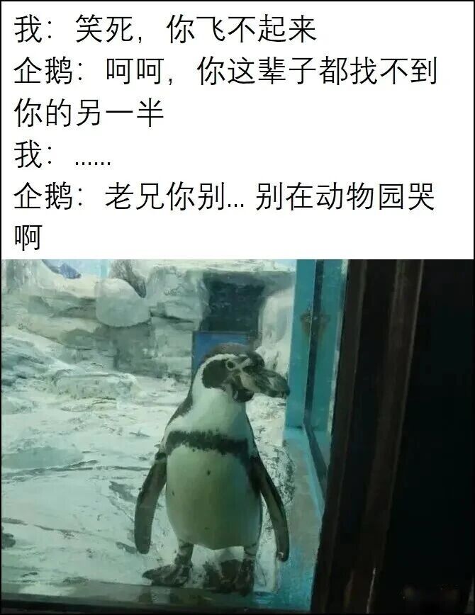 企鹅