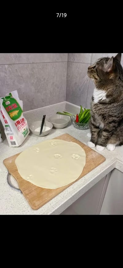 这是家庭厨房台面的趣味场景：一只白肚狸花猫端正地坐在台面上，抬头向上张望，仿佛在“监工”。台面上擀好的白面饼上印着好几处清晰的猫爪印，显然是猫咪刚刚“捣乱”留下的痕迹。旁边还摆放着双鱼牌多用途麦芯小麦粉、盛有面粉的碗与筷子、空碗，以及装着青椒、葱的容器，看起来正处于准备制作面食的过程中，画面充满生活感又十分搞笑可爱。