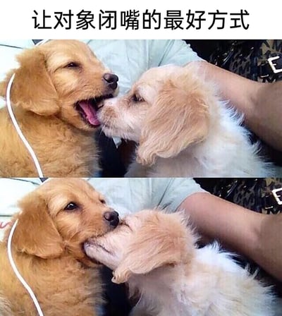这是一张上下拼接的对比式搞笑梗图，顶部配有文字“让对象闭嘴的最好方式”。上图里，一只金毛幼犬张着嘴、吐着舌头，神态放松愉悦，旁边的浅色幼犬凑上前亲吻它的嘴部；下图中，浅色幼犬直接将金毛幼犬的整个嘴含在自己嘴里，金毛幼犬则露出惊讶的眼神，表情错愕。这张图用两只狗狗的趣味互动，调侃情侣间让对方停止说话的甜蜜小妙招，画面软萌可爱，充满恋爱的甜蜜感，很容易引发情侣群体的共鸣。