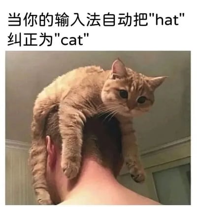 图片上方配有文字“当你的输入法自动把'hat'纠正为'cat'”，下方是一张实拍照片：一只橘色猫咪正稳稳地坐在一个人的头顶上，猫咪表情平静，四肢自然垂下。图片通过文字与画面的结合，幽默地呈现了输入法将“hat”（帽子）误纠正为“cat”（猫）的场景，仿佛猫咪真的变成了戴在头上的“猫帽子”，充满生活趣味和反差萌。