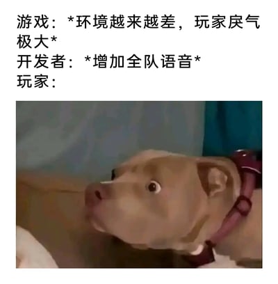 这是一张图文混排的搞笑吐槽梗图，针对游戏行业的不合理操作进行调侃。上方文字构建了一个场景：游戏环境恶劣，玩家之间充满戾气，而开发者不仅没有着手改善游戏环境、缓解玩家矛盾，反而推出了全队语音功能，这一决策无疑会让玩家之间的冲突通过语音进一步升级。下方搭配了一张脸部变形、双眼瞪大的狗狗的震惊表情图，精准地表现出玩家面对开发者这一迷之操作时的无语、震惊与不敢置信的心情，讽刺了部分开发者脱离玩家实际需求、做出反向优化的行为。